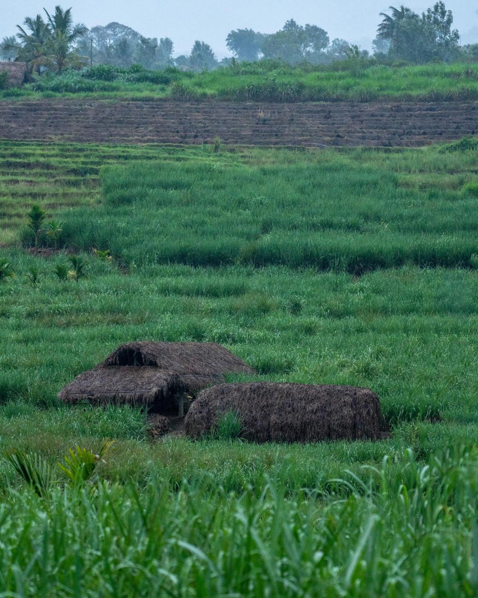 The Mudhouse Marayoor Hotel Munnar Eksteriør billede